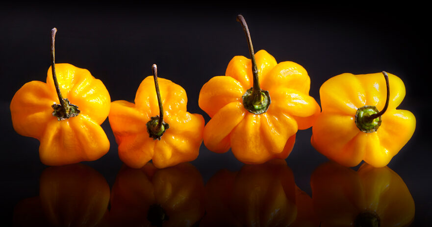 Yellow Habanero: The Sunny and Spicy Pepper That‘ll Brighten Up Your Dishes 1 Yellow Habanero