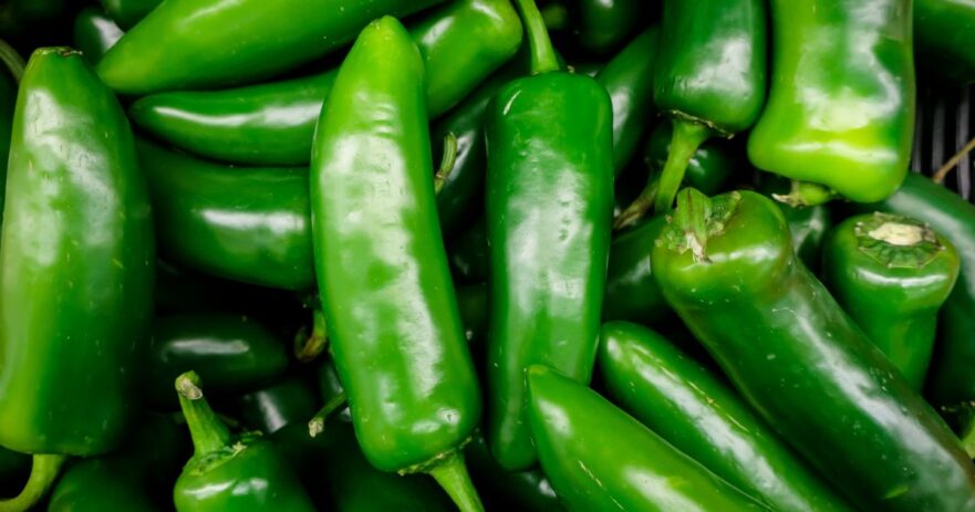 Jalapeño Pepper - All about Heat, Flavor, Uses, Substitutes 1 Jalapeño