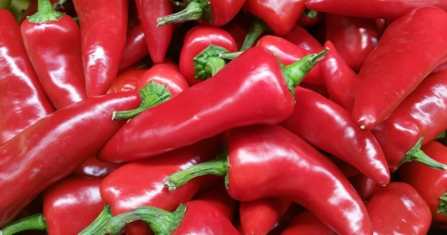 Fresno pepper - All about Heat, Flavor, Uses, Substitutes 1 Fresno pepper