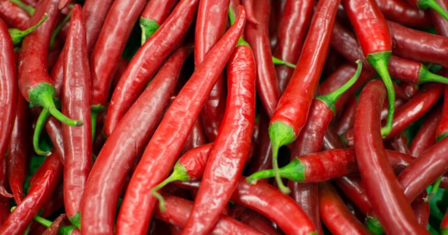 Tabasco pepper - All about Heat, Flavor, Uses, Substitutes 1 Tabasco pepper