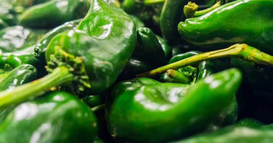 Hatch chili pepper - All about Heat, Flavor, Uses, Substitutes 1