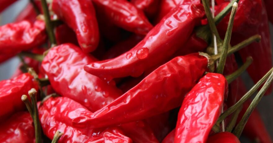 Calabrian pepper - All about Heat, Flavor, Uses, Substitutes 1