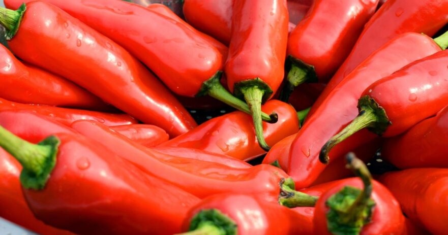 Fish pepper - All about Heat, Flavor, Uses, Substitutes 1 Fish pepper