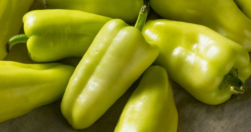 Gypsy pepper - All about Heat, Flavor, Uses, Substitutes 1 Gypsy pepper