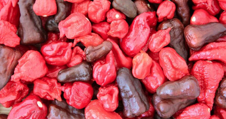 Naga Viper Pepper - All about Heat, Flavor, Uses, Substitutes 1
