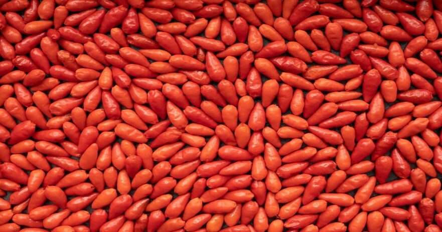 Pequin pepper - All about Heat, Flavor, Uses, Substitutes 1