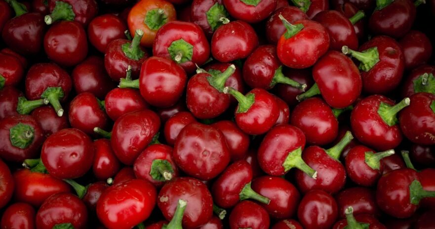 Pimento Pepper - All about Heat, Flavor, Uses, Substitutes 1