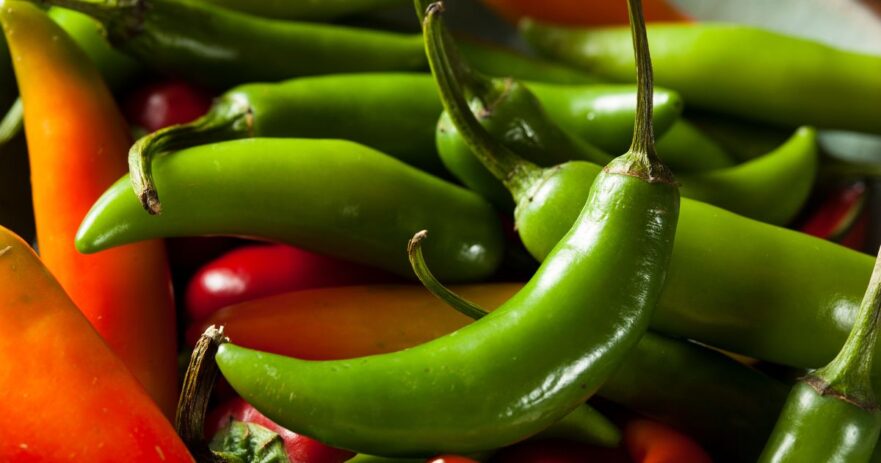 Serrano pepper - All about Heat, Flavor, Uses, Substitutes 1 Serrano pepper