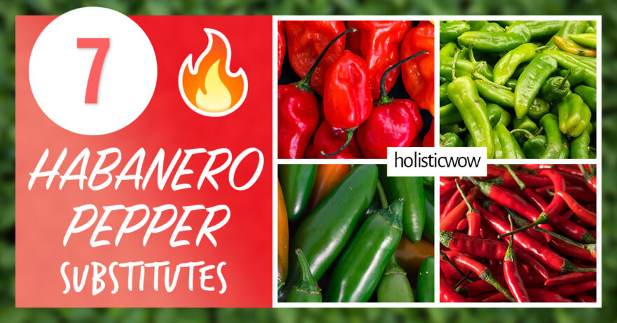 7 Fiery Habanero Substitutes and Alternatives to Ignite Your Taste Buds 1 Habanero Pepper alternatives