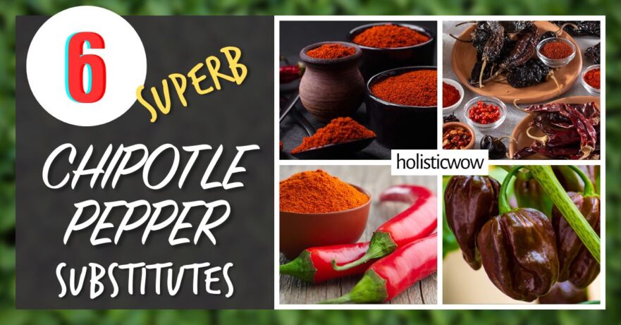 6 Superb Chipotle Pepper Substitutes for Smoky Flavors and Varied Heats 1 Chipotle substitutes