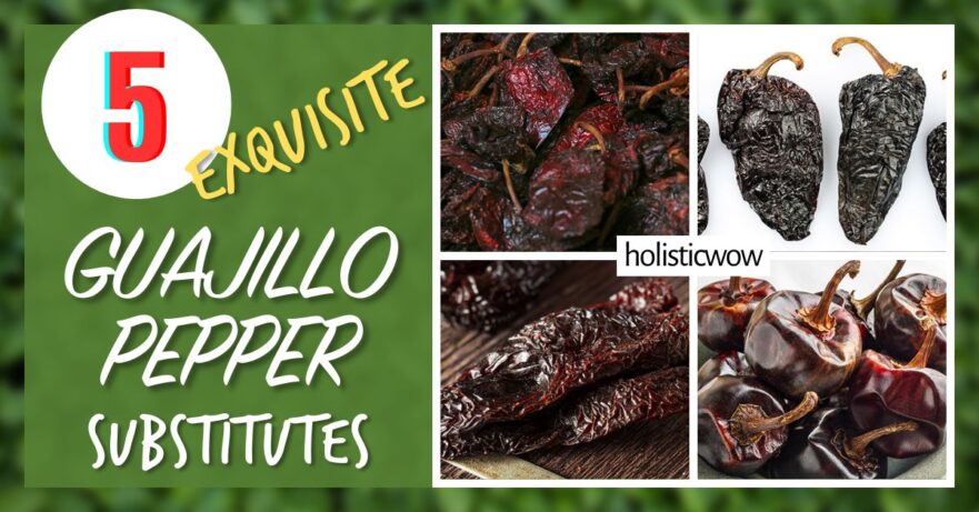 5 Exquisite Guajillo Pepper Substitutes to Revamp Your Mexican Dishes 1 Guajillo substitutes