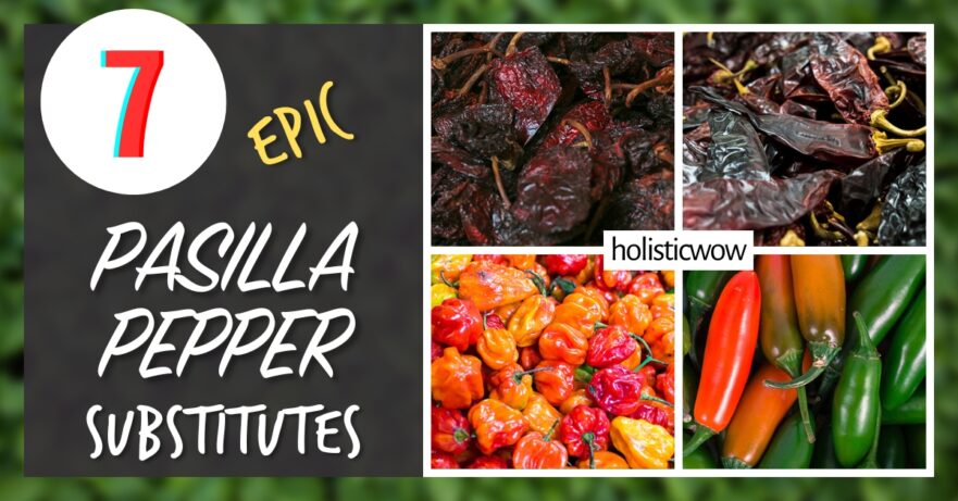 7 Pasilla Pepper Substitutes for Depth and Complexity in Cooking 1 Pasilla pepper substitutes