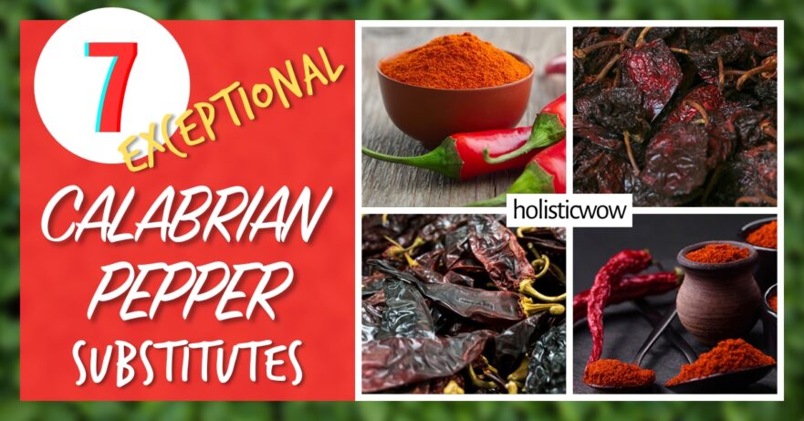 7 Exceptional Calabrian Pepper Substitutes to Spice Up Your Italian Cuisine 1 Calabrian pepper alternatives
