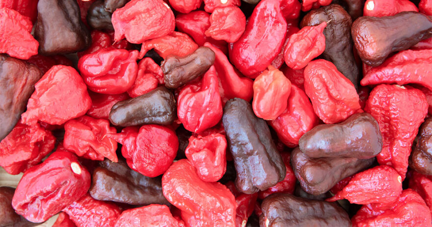 Dragon's Breath Pepper - All about Heat, Flavor, Uses, Substitutes 1 Dragon's Breath Pepper