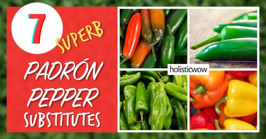 7 Superb Padrón Pepper Substitutes for Every Palate 1 Padrón pepper alternatives