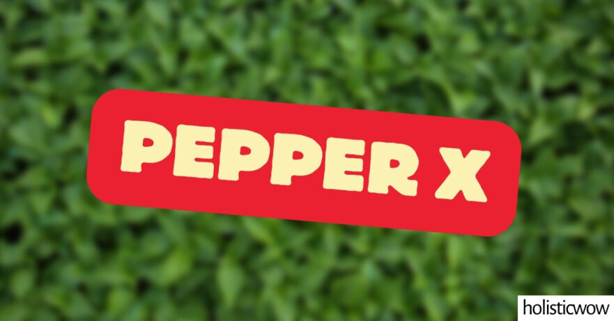 Pepper X - All about Heat, Flavor, Uses, Substitutes 1 Pepper X