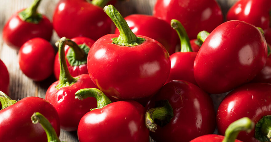 Cherry Pepper – All about Heat, Flavor, Uses, Substitutes 1 Cherry Pepper