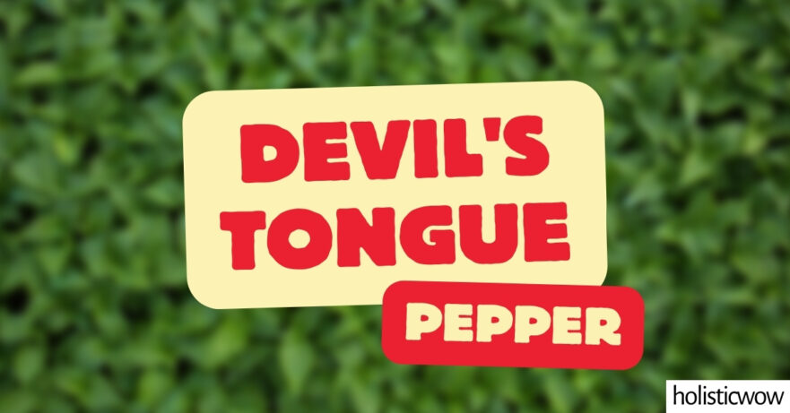Devil's Tongue Pepper - All about Heat, Flavor, Uses, Substitutes 1 Devil's Tongue Pepper