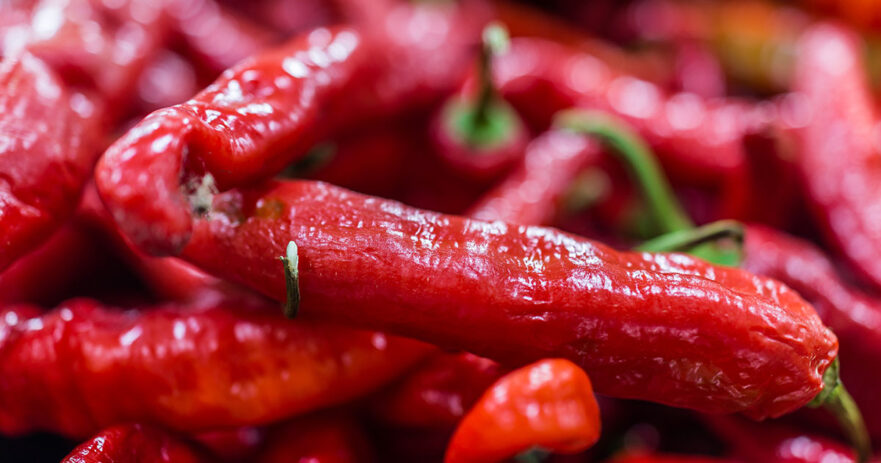 Italian Long Hot Pepper - All about Heat, Flavor, Uses, Substitutes 1 Italian Long Hot Pepper
