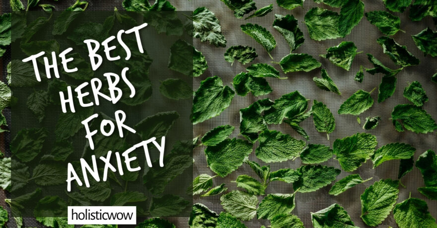 7 Best Herbs to Soothe Your Anxiety - Herbal Anxiety Relief 8 Herbs for anxiety