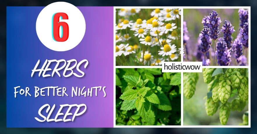 6 Best Herbs for a Better Night's Sleep 1 Herbs for sleep