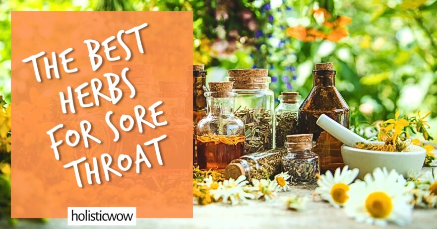 Best Herbs for Sore Throat - Herbal Remedies for Throat Pain Relief 15 herbs for sore throat