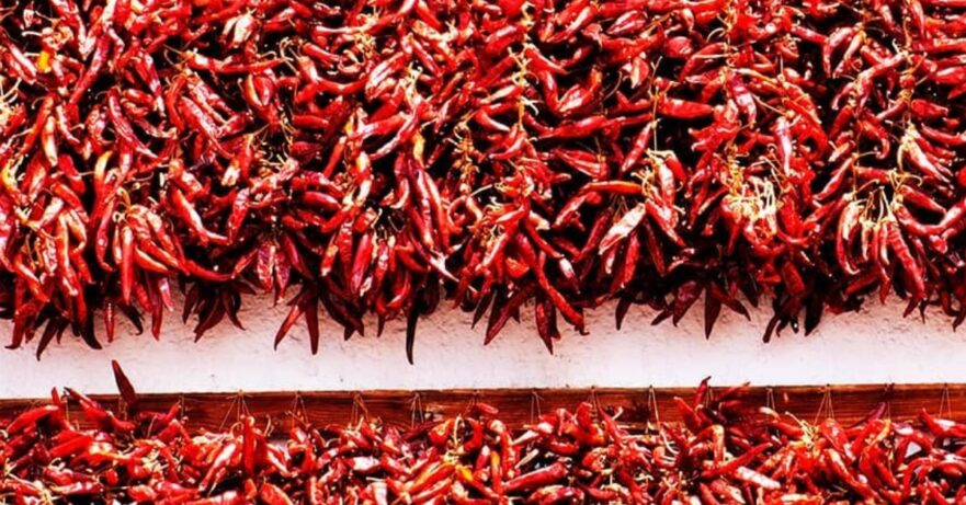 The History of Hungarian Paprika 1 Hungarian paprika story