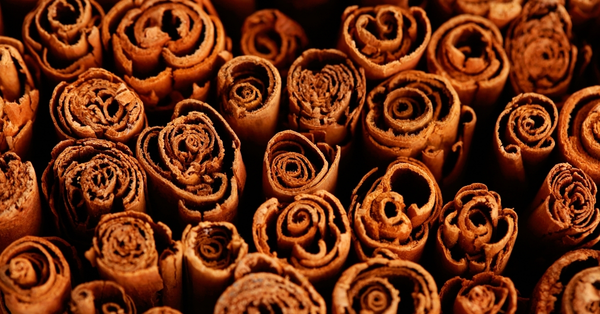 Featured image for “Cinnamon Monograph”