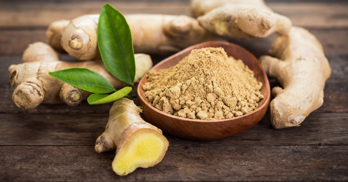 Featured image for “Ginger Monograph”