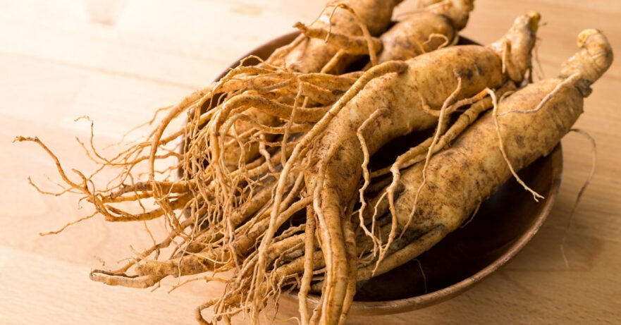 Ginseng Monograph 1 Panax ginseng monograph