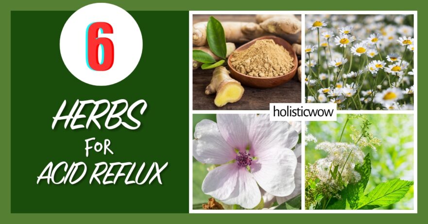 6 Time-Tested Herbs for Acid Reflux Relief 63 Herbs for acid reflux