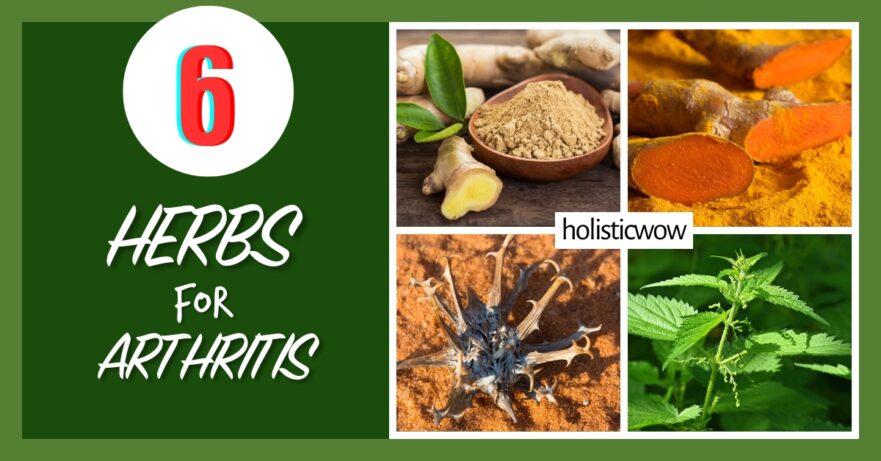 6 Effective Herbs for Arthritis Relief 56 Herbs for arthritis