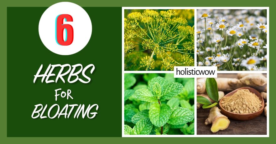 6 Powerful Herbs for Bloating Relief 28 Herbs for bloating
