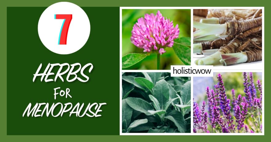 7 Key Herbs for Natural Menopause Relief 35 Herbs for menopause