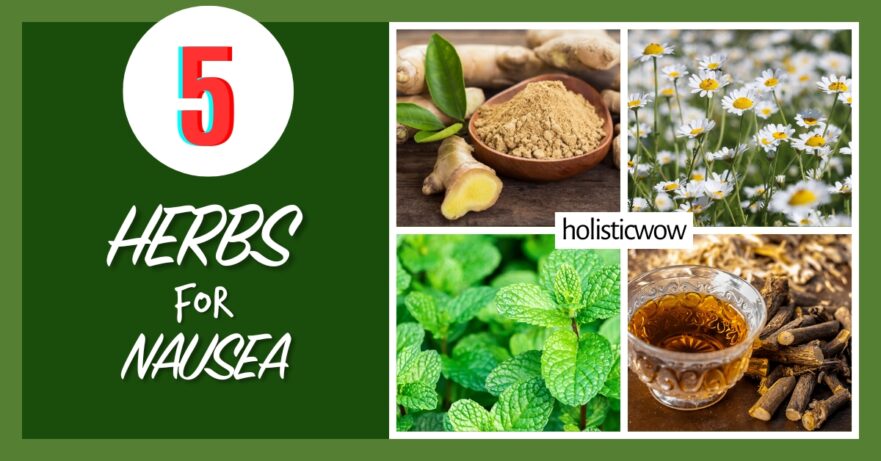 5 Essential Herbs to Combat Nausea Naturally 42 Herbs for nausea