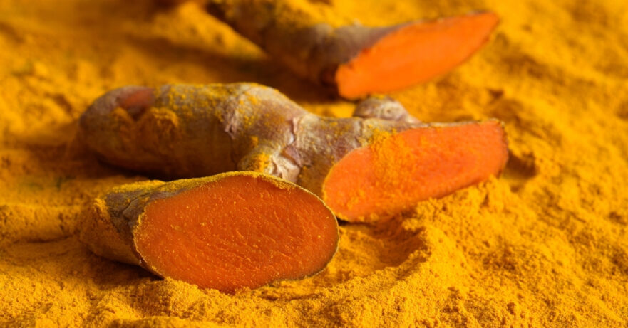 Turmeric Monograph 1 Curcuma longa monograph