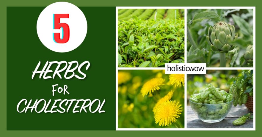 5 Powerful Herbs That Naturally Lower Cholesterol 22 Herbs for cholesterol