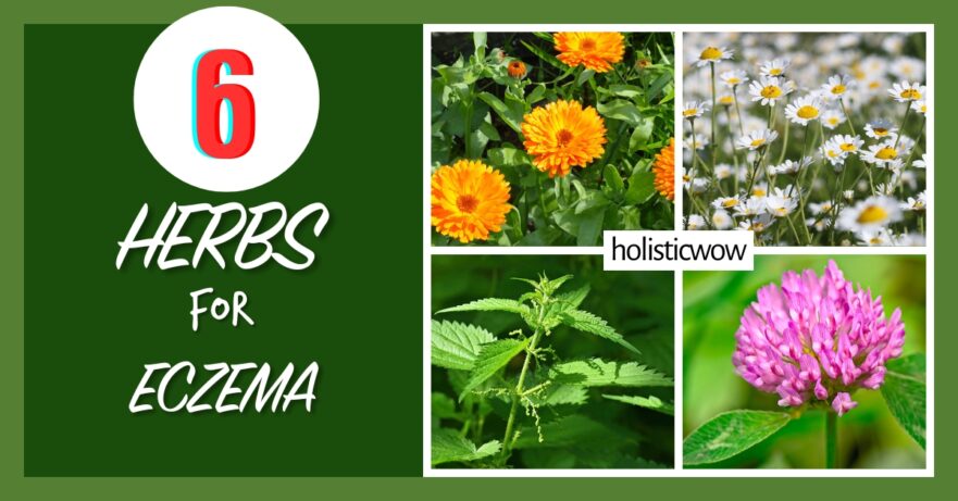 6 Powerful Herbs to Soothe Eczema Naturally 64 Herbs for eczema