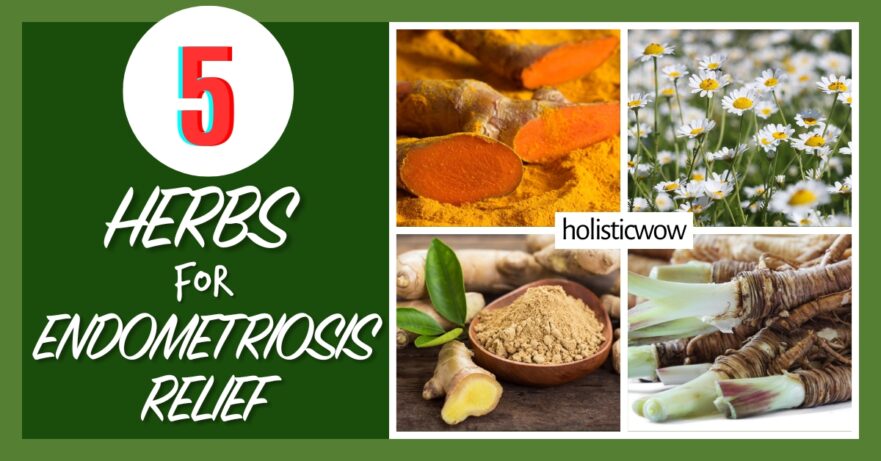 5 Time-Tested Herbs to Support Endometriosis Relief 50 Herbs for endometriosis