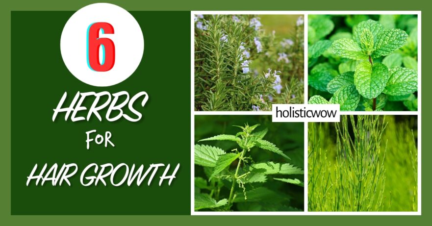 6 Time-Tested Herbal Remedies for Healthier, Fuller Hair 8 Herbs for hair growth