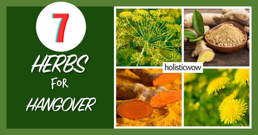 7 Potent Herbs to Alleviate Hangover Symptoms Naturally 15 Herbs for hangover