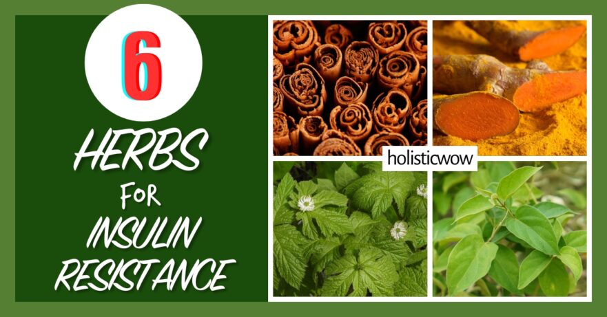 6 Powerful Herbs to Combat Insulin Resistance Naturally 36 Herbs for insulin resistance