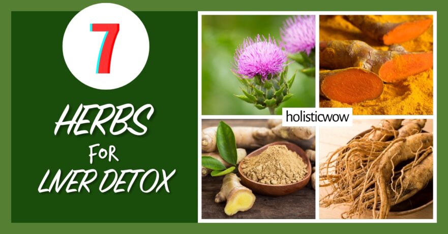 7 Essential Herbs for Natural Liver Detoxification 29 Herbs for liver detox