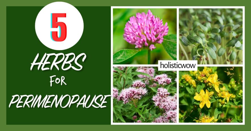 5 Essential Herbs to Ease Perimenopause Symptoms Naturally 1 Herbs for perimenopause