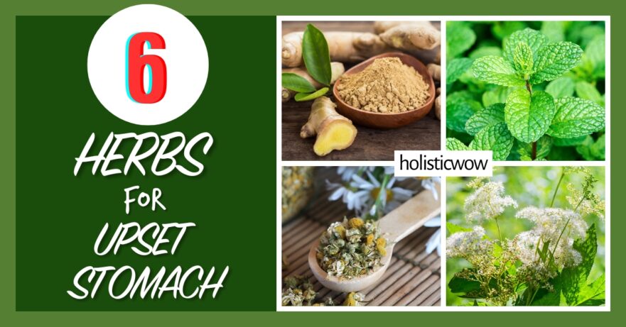 6 Powerful Herbs to Soothe Your Upset Stomach Naturally 15 Herbs for upset stomach