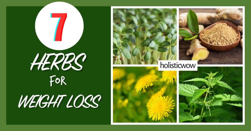 7 Time-Tested Herbs to Kickstart Your Weight Loss Goals 57 Herbs for weight loss