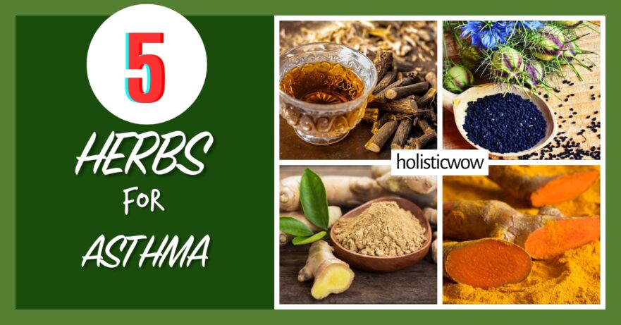 5 Essential Herbs to Ease Asthma Symptoms Naturally 50 Herbs for asthma