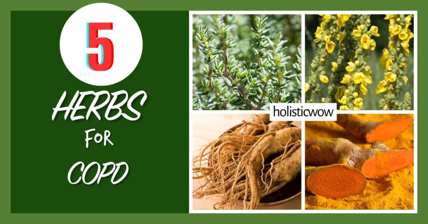 5 Powerful Herbs to Support Natural COPD Management 43 Herbs for COPD