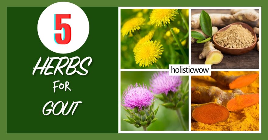 5 Traditional Herbs That May Help Relieve Gout Pain 1 Herbs for gout