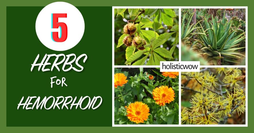 5 Effective Herbs to Soothe Hemorrhoid Discomfort Naturally 28 Herbs for hemorrhoid